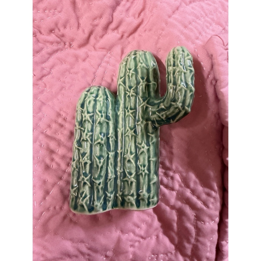 Cactus Ceramic Salt or Pepper Shaker Green Art Display Western